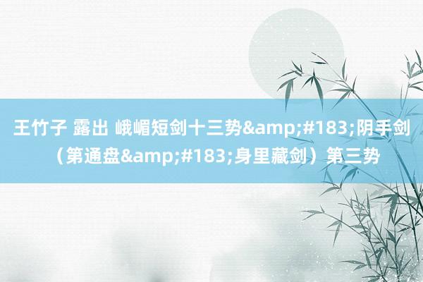 王竹子 露出 峨嵋短剑十三势&#183;阴手剑 （第通盘&#183;身里藏剑）第三势