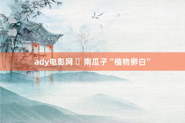 ady电影网 ​南瓜子“植物卵白”
