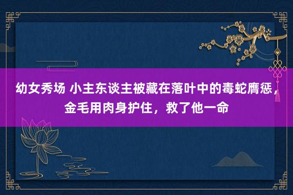 幼女秀场 小主东谈主被藏在落叶中的毒蛇膺惩，金毛用肉身护住，救了他一命