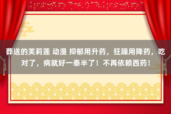 葬送的芙莉莲 动漫 抑郁用升药，狂躁用降药，吃对了，病就好一泰半了！不再依赖西药！