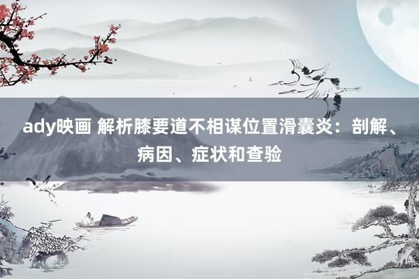ady映画 解析膝要道不相谋位置滑囊炎：剖解、病因、症状和查验