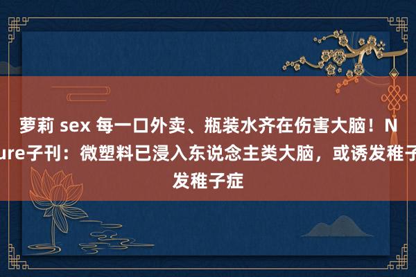 萝莉 sex 每一口外卖、瓶装水齐在伤害大脑！Nature子刊：微塑料已浸入东说念主类大脑，或诱发稚子症