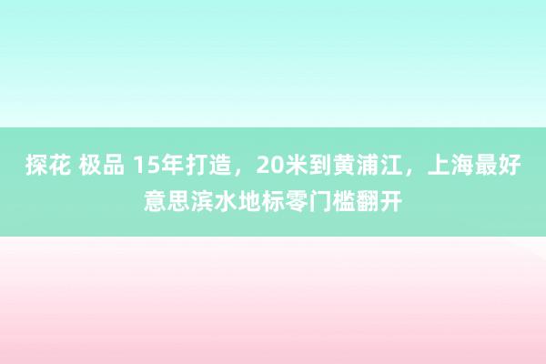 探花 极品 15年打造，20米到黄浦江，上海最好意思滨水地标零门槛翻开