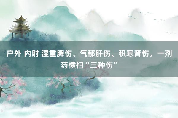 户外 内射 湿重脾伤、气郁肝伤、积寒肾伤，一剂药横扫“三种伤”