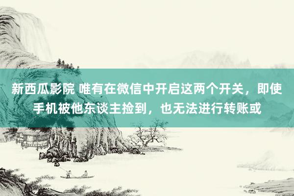 新西瓜影院 唯有在微信中开启这两个开关，即使手机被他东谈主捡到，也无法进行转账或